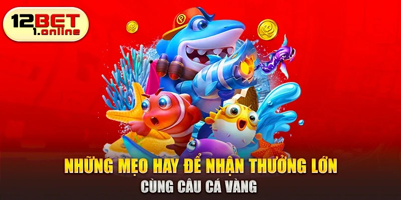 Những mẹo hay để nhận thưởng lớn cùng câu cá vàng